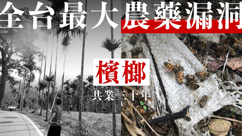 《上下游新聞市集》的專題報導〈揭開全台最大農藥漏洞|檳榔共業三十年〉。(圖片提供:上下游新聞市集) 《上下游新聞市集》的專題報導〈揭開全台最大農藥漏洞|檳榔共業三十年〉。(圖片提供:上下游新聞市集)