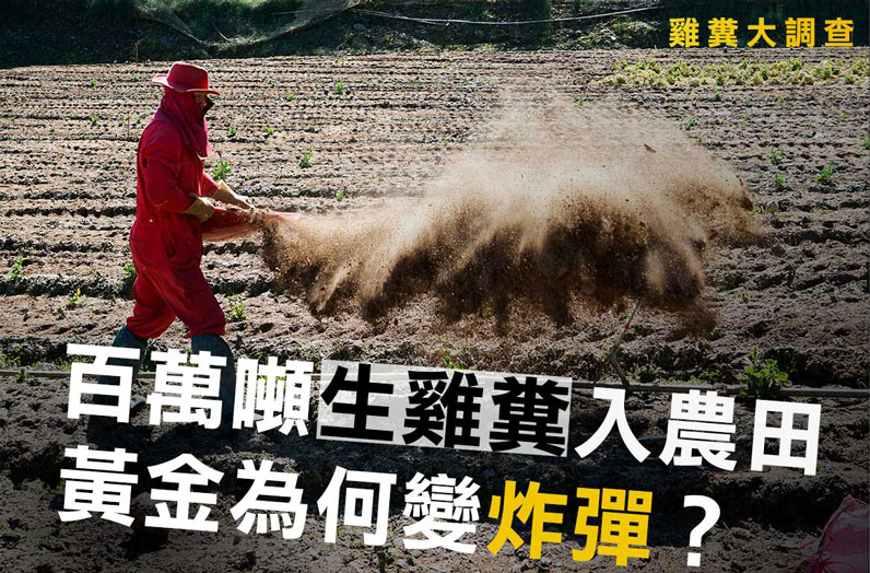 《上下游新聞市集》編採團隊製作的專題報導〈【雞糞大調查】百萬噸生雞糞入農田,黃金為何變炸彈?〉。(圖片提供:上下游新聞市集) 《上下游新聞市集》編採團隊製作的專題報導〈【雞糞大調查】百萬噸生雞糞入農田,黃金為何變炸彈?〉。(圖片提供:上下游新聞市集)