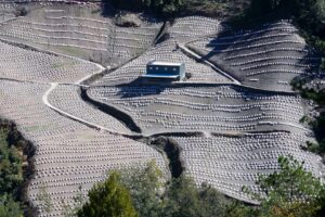 公益信託如何淪為財團避稅工具？信託法修法始末