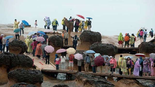 兩岸流動