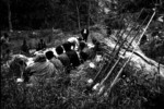 獵徑、社路與海陸貿易網－台灣路之初
